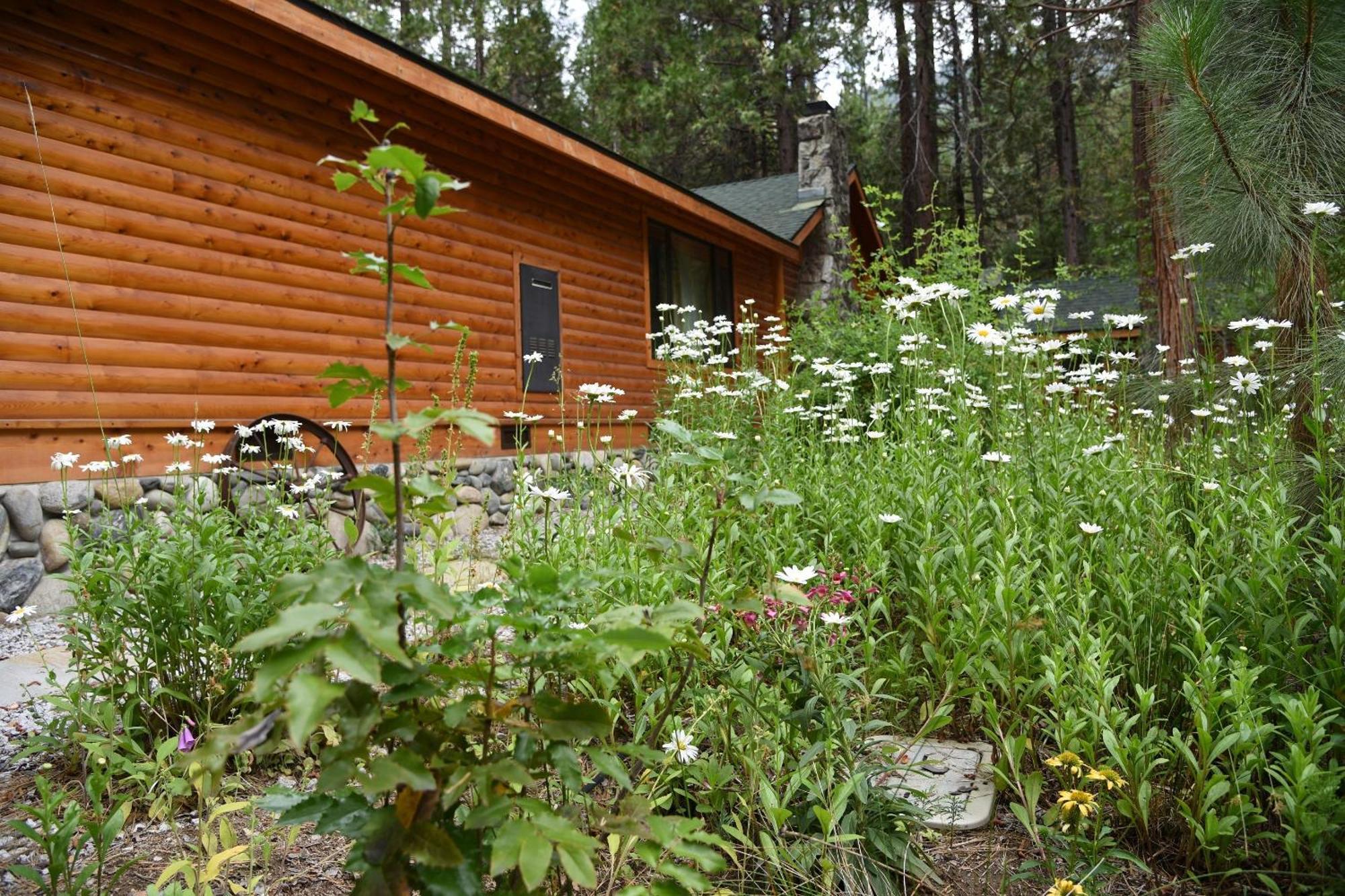 Villa Grizzly Giant Wawona Exterior foto